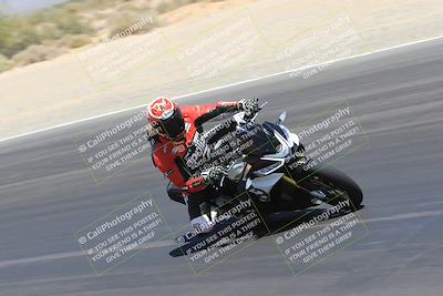 media/May-14-2023-SoCal Trackdays (Sun) [[024eb53b40]]/Turn 3 Inside (12pm)/